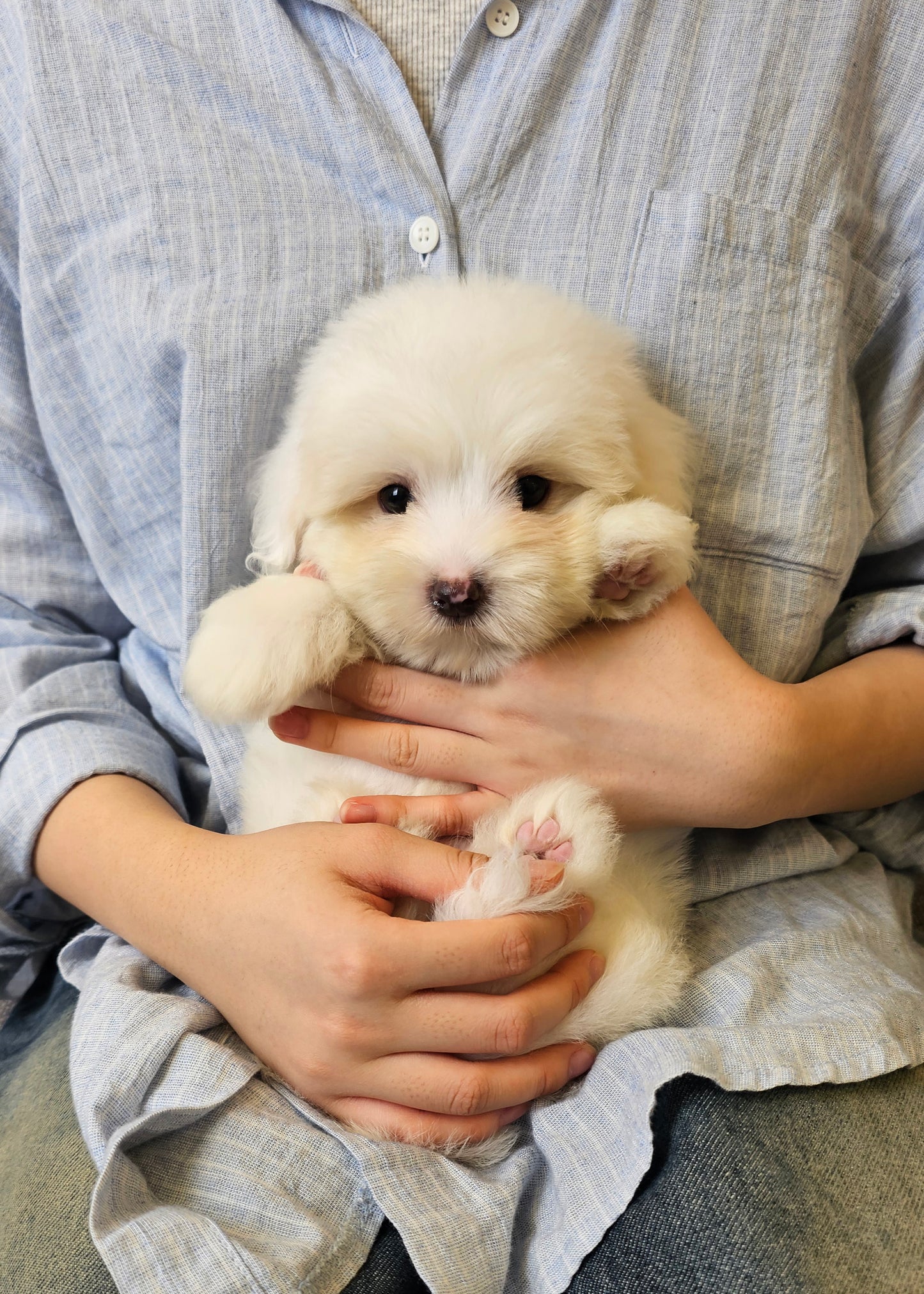 CHARLIE