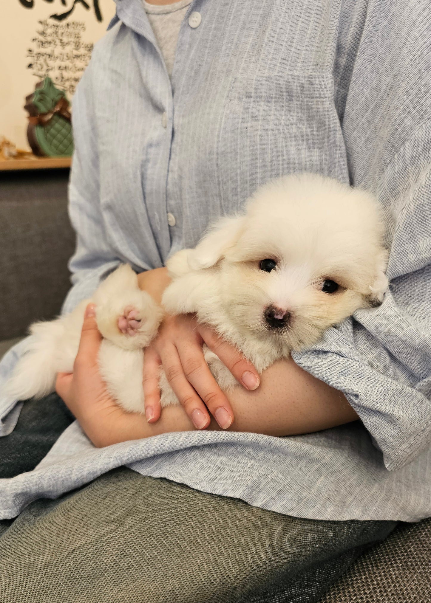 CHARLIE