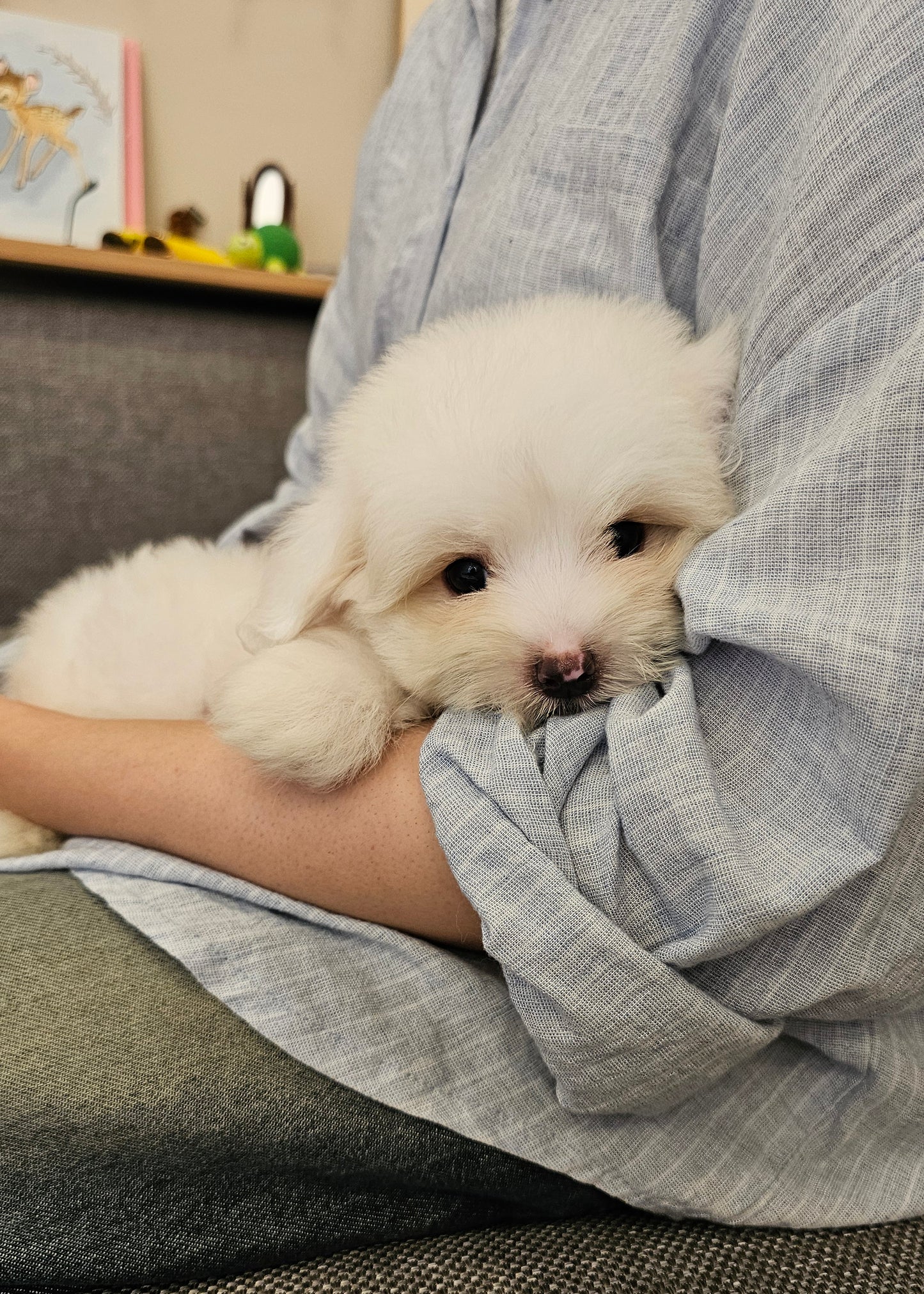 CHARLIE