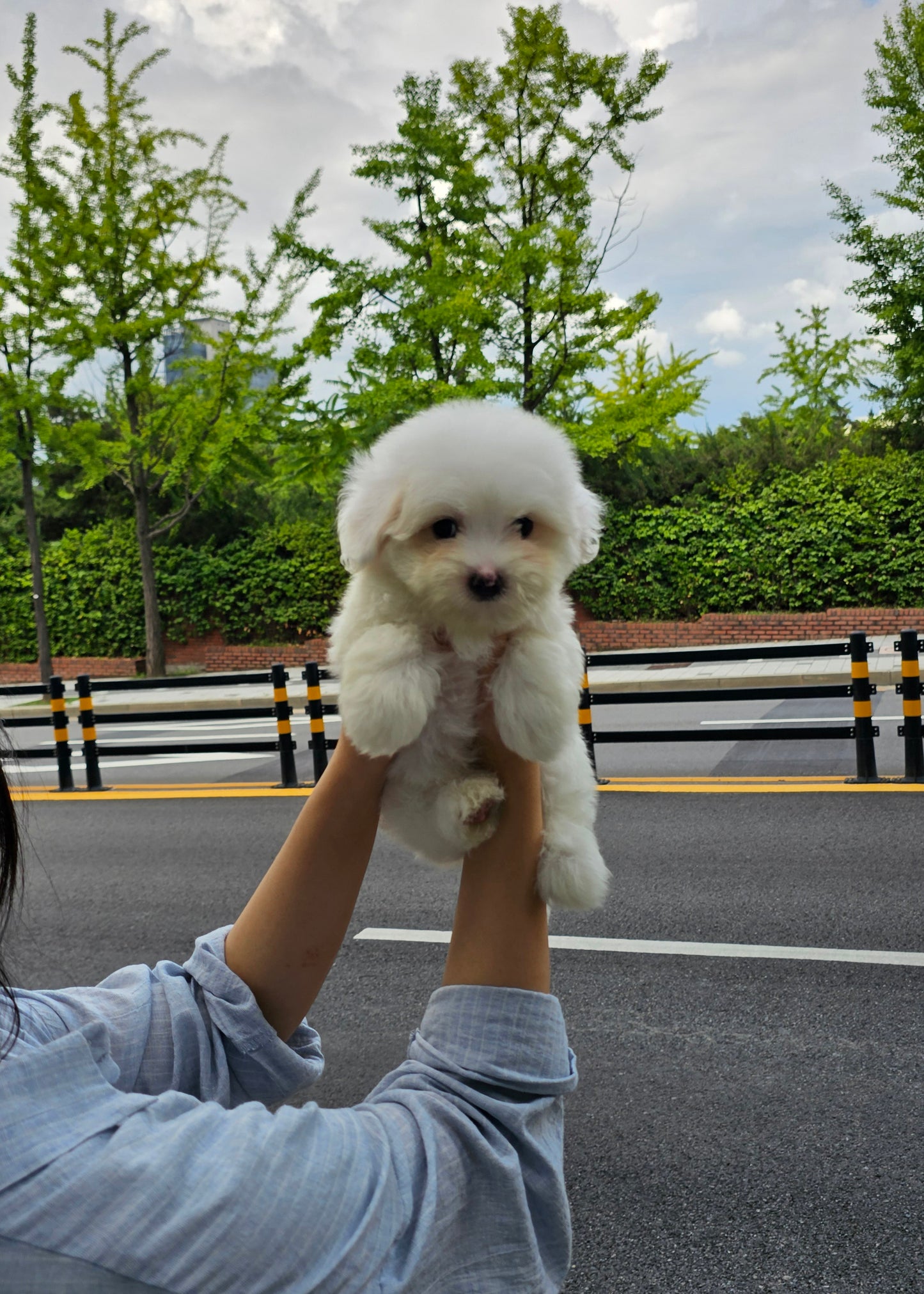 CHARLIE