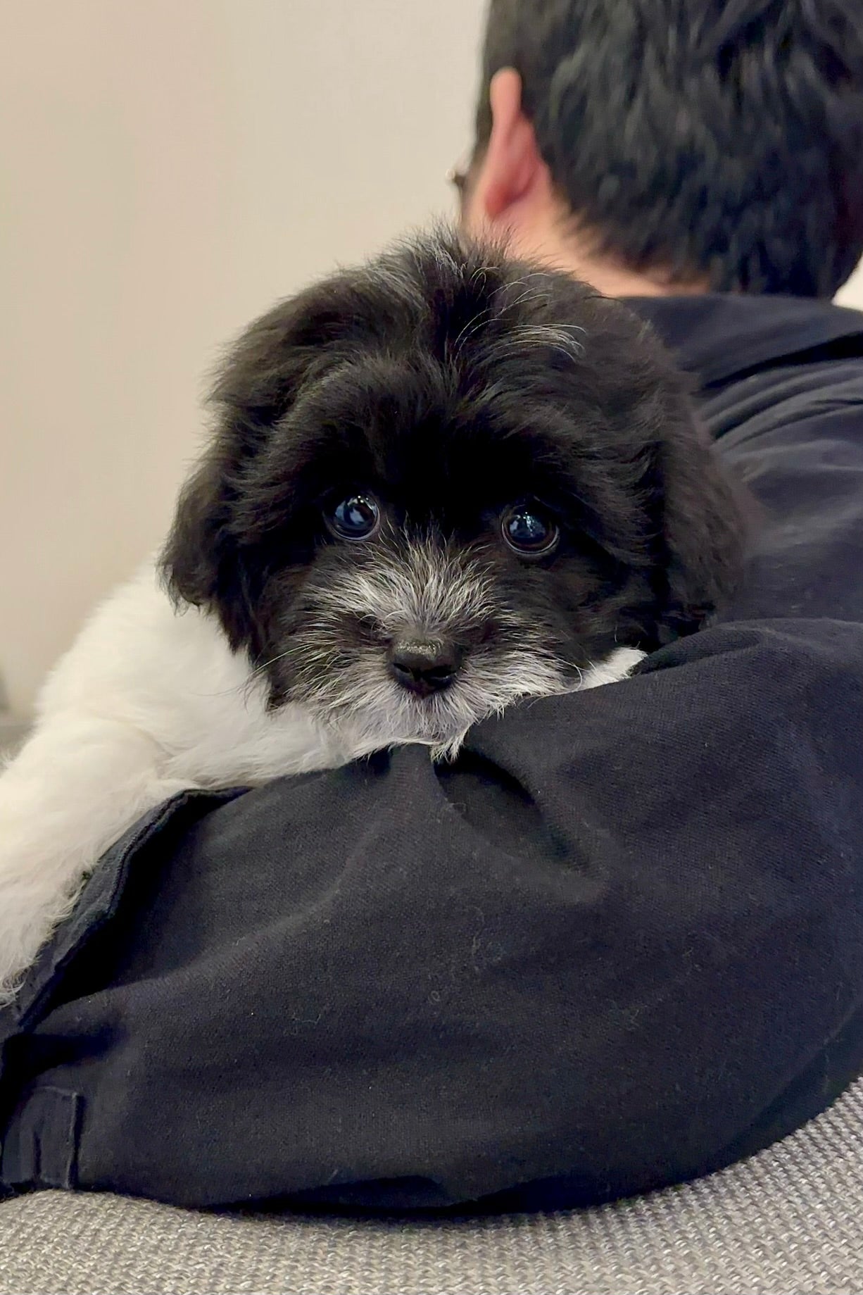 오레오 (OREO)