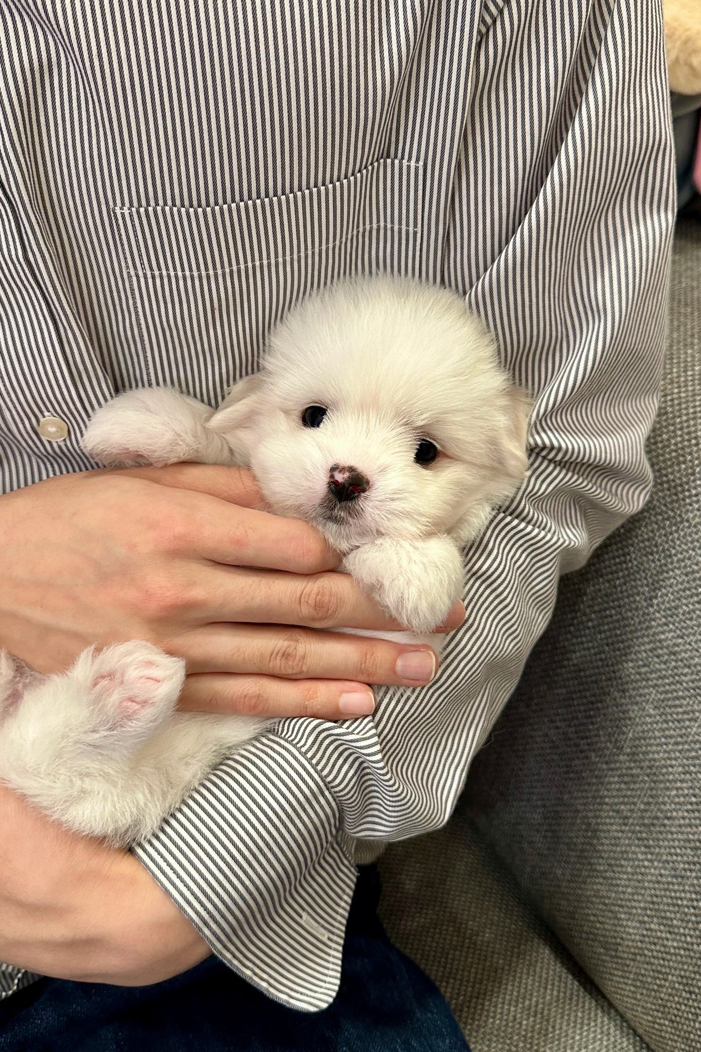 뚜비 (TOBI)