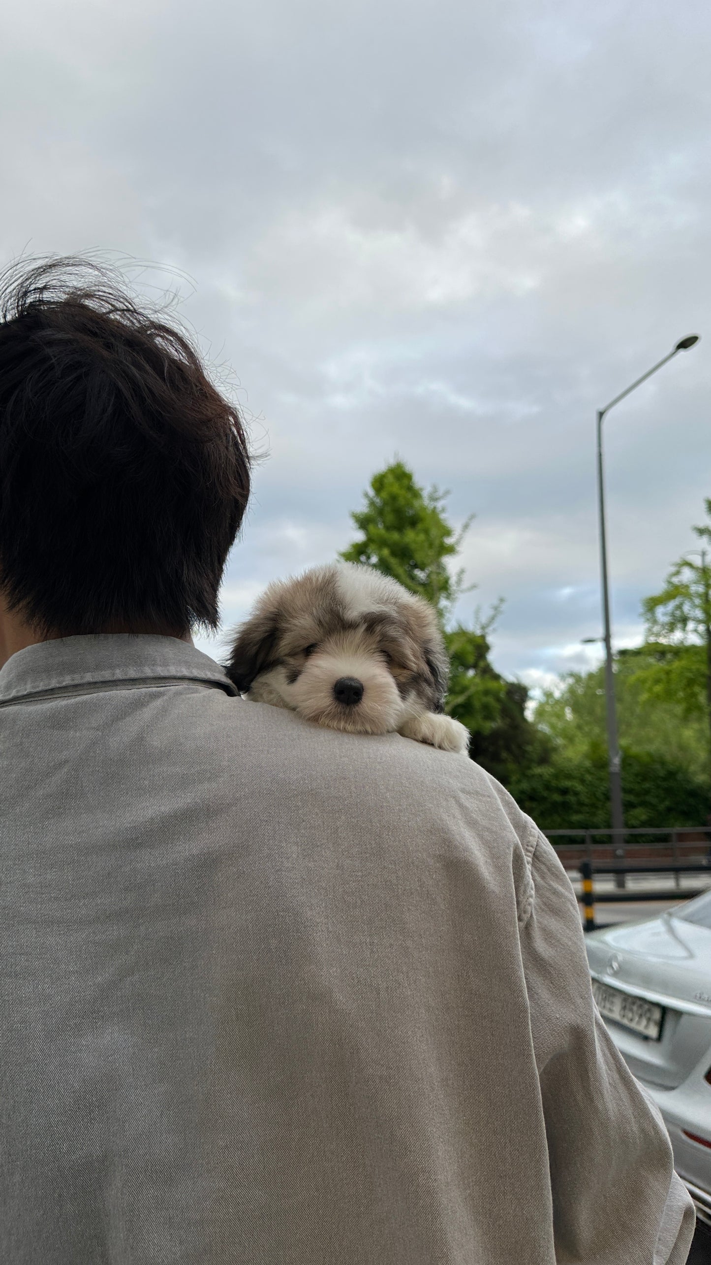 (CHAMPION LINE) 약지