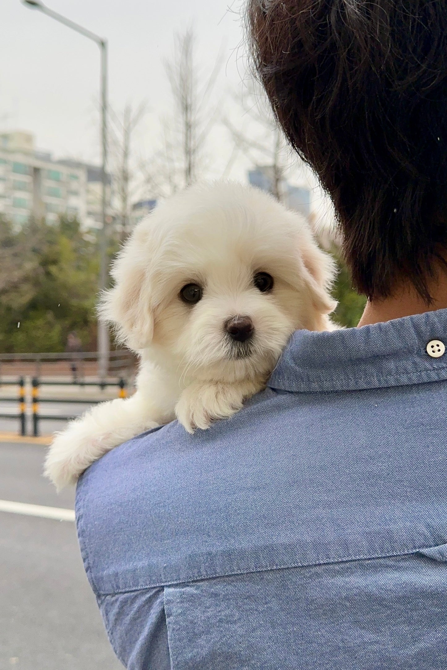 우유 (MILK)