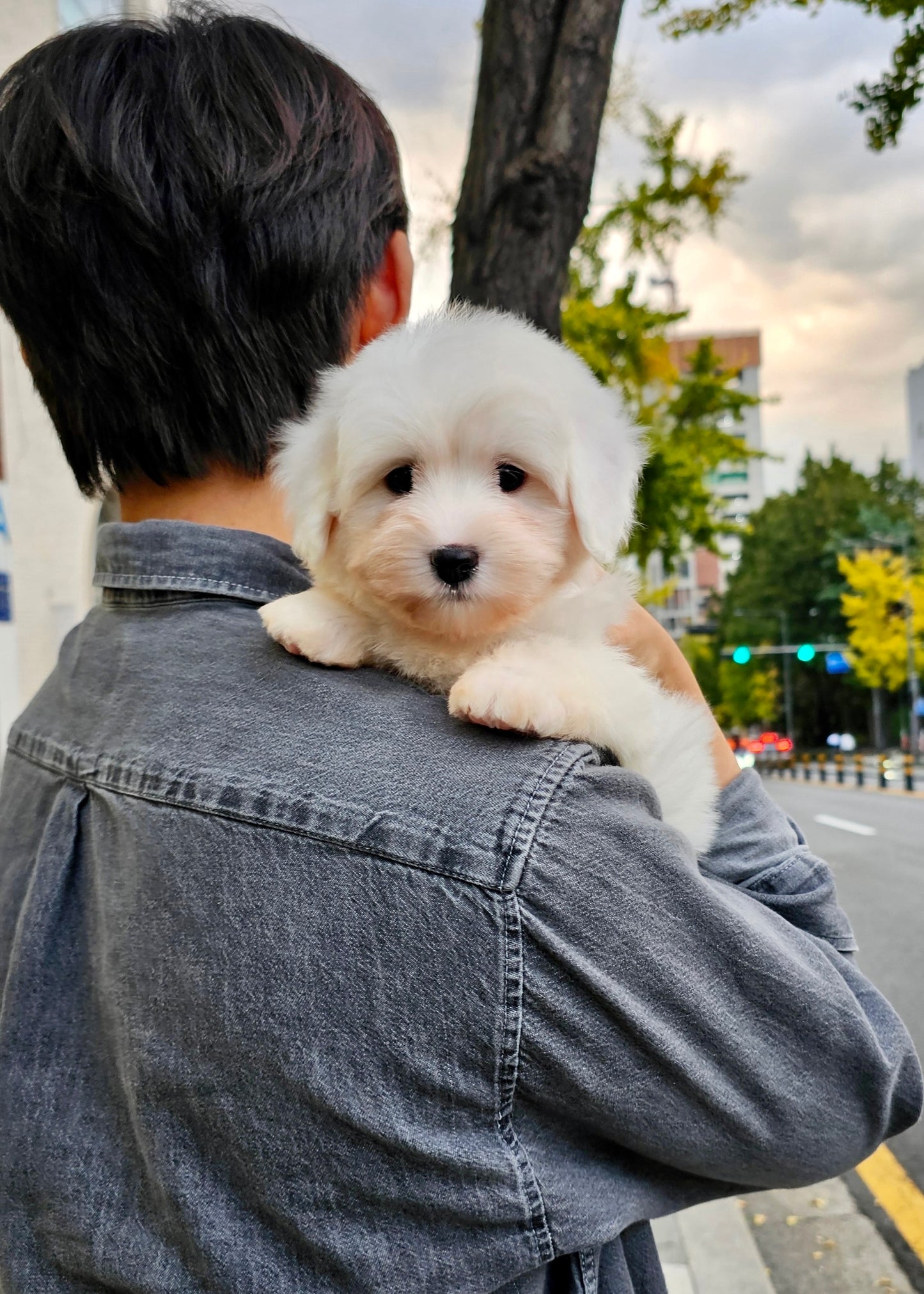 구름 (CLOUD)