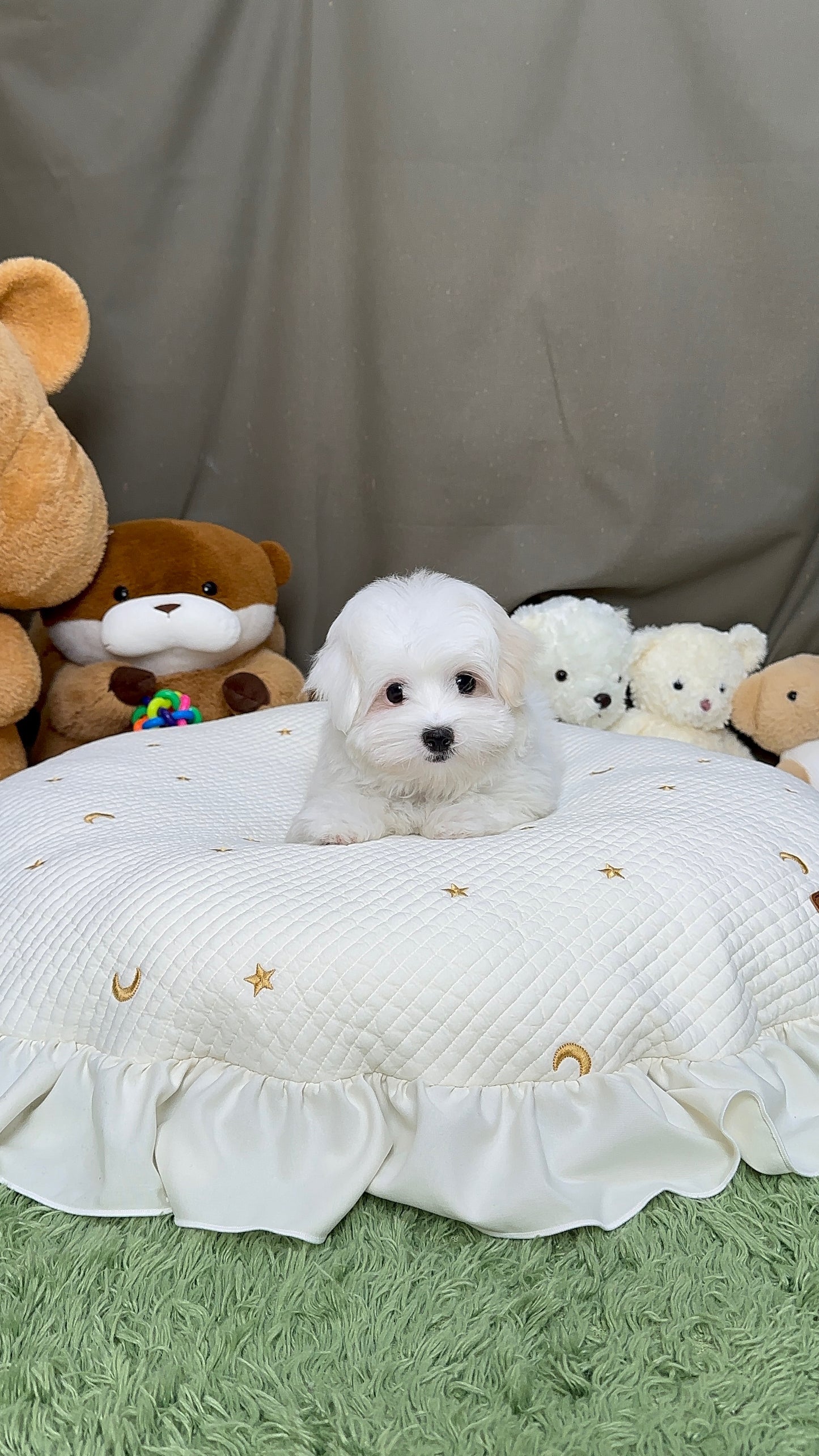 빛나 💫