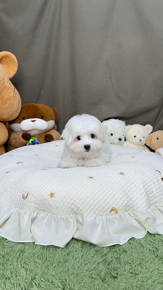 빛나 💫