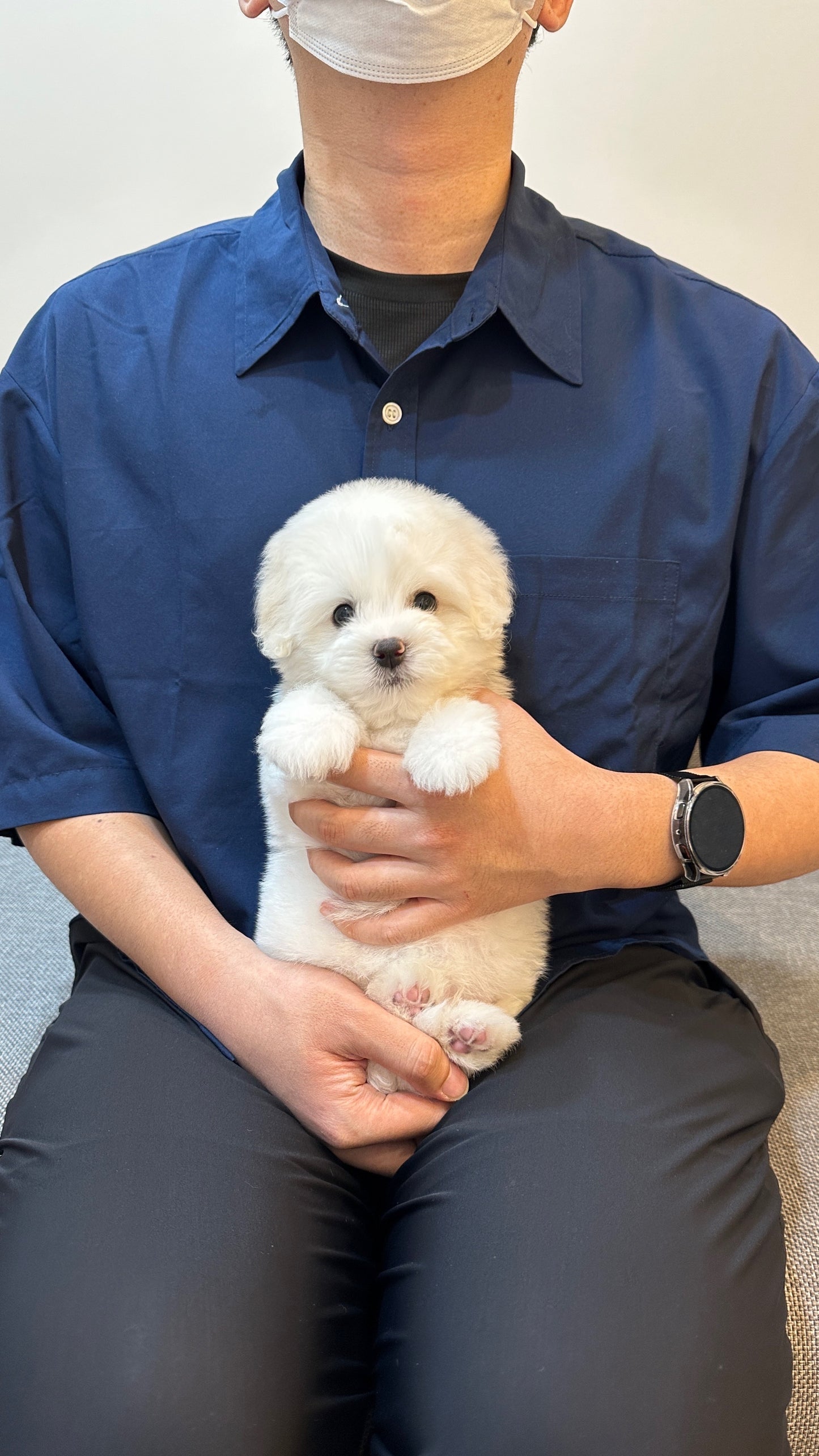 오딘 (ODIN)