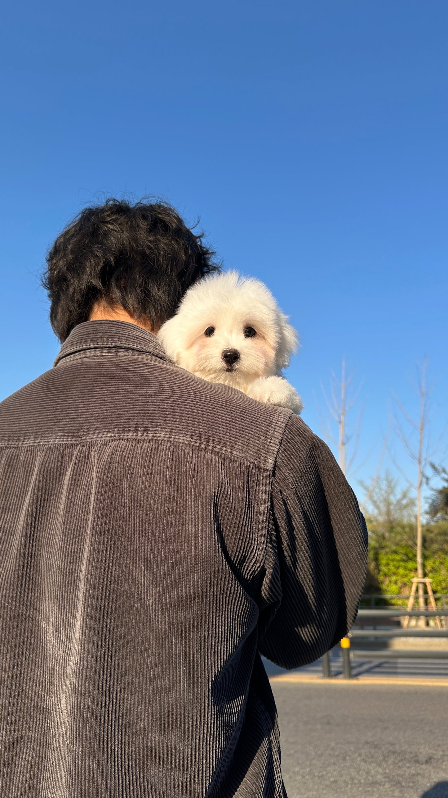 데이지 (DAISY)🧡