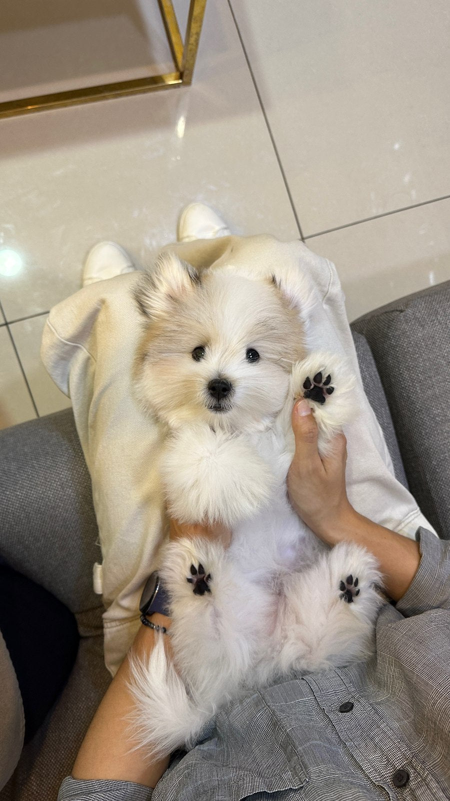 꼬똥 드 툴레아 남아 편지