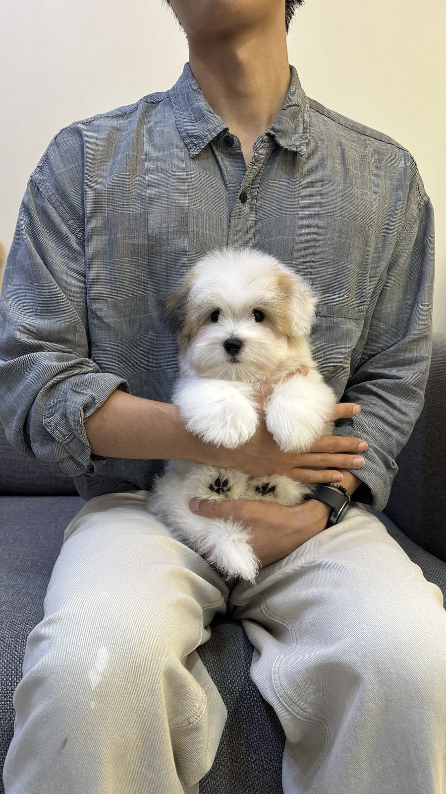 꼬똥 드 툴레아 남아 편지